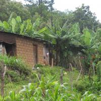 Vivienda familia de la Cuesta